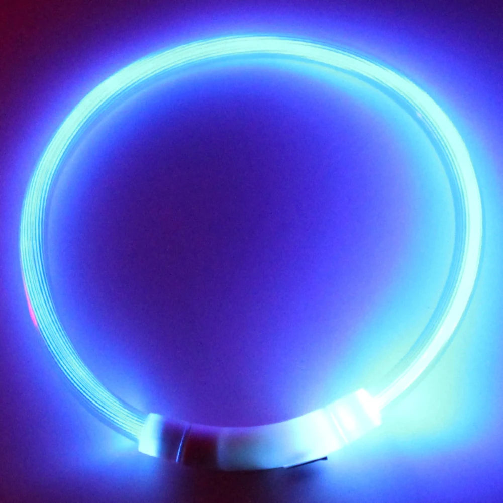Rechargeable LED Dog Collars with USB Charging - Luminous Night Safety Neck Light for Pets (Sizes S, M, L)