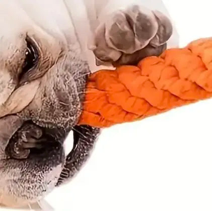 Brinquedos para Cachorro que Rangem, Duráveis e Mastigáveis. Cenoura/ Raposa/ Algodão Dental/ Elefante/ Pato.