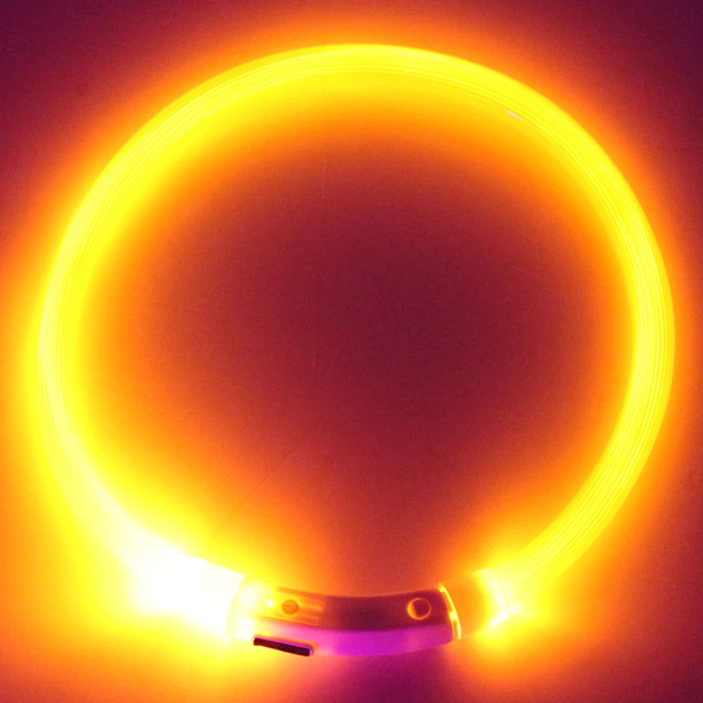 Rechargeable LED Dog Collars with USB Charging - Luminous Night Safety Neck Light for Pets (Sizes S, M, L)