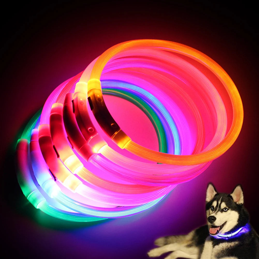 Rechargeable LED Dog Collars with USB Charging - Luminous Night Safety Neck Light for Pets (Sizes S, M, L)