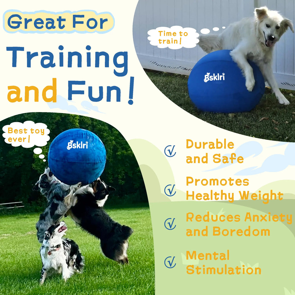 Dog Herding Ball - Push & Chase Toy for Supervised Outdoor Play (NOT for Aggressive Chewing)
